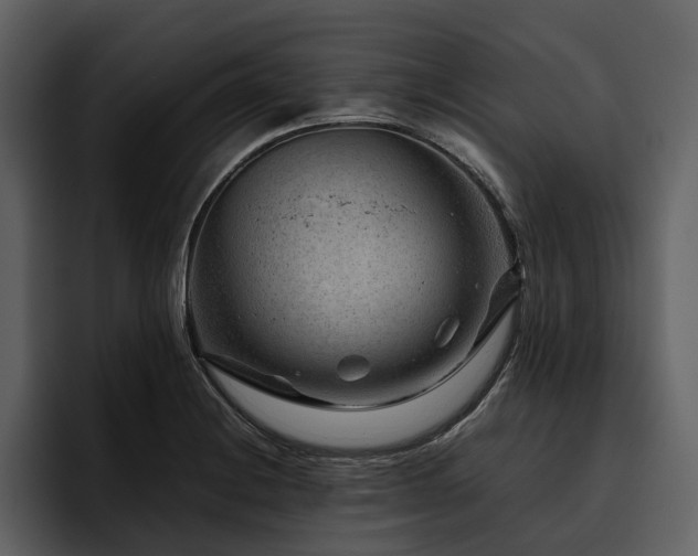 X0000095941228200801111323