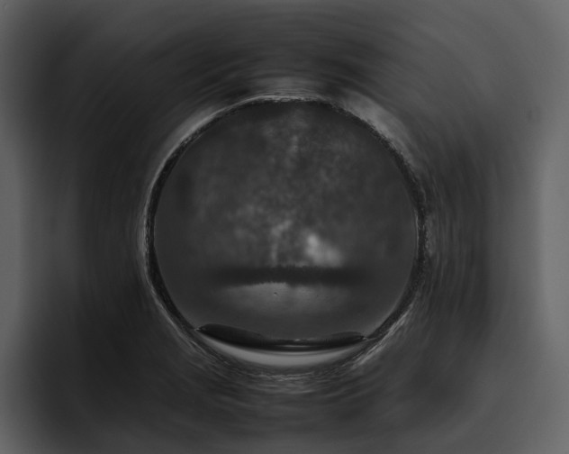 X0000095941229200801111323