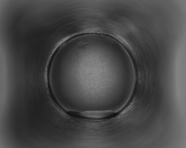 X0000095941230200801111323