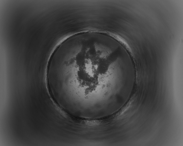 X0000095941231200801111323