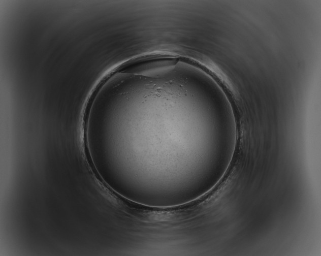 X0000095941232200801111323