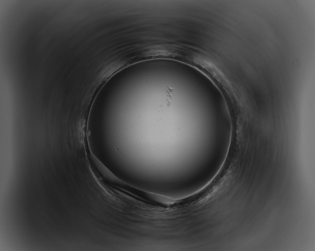 X0000095941233200801111323