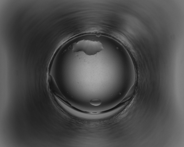 X0000095941234200801111323