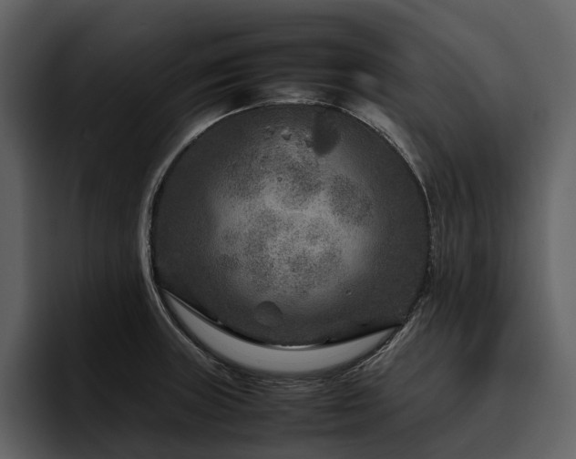 X0000095941235200801111323