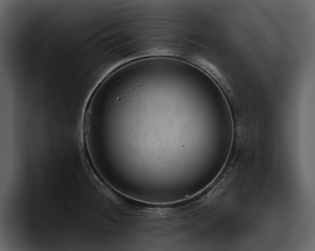 X0000095941236200801111323