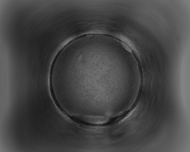 X0000095941237200801111323