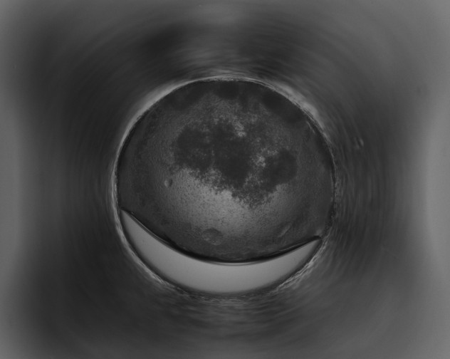 X0000095941239200801111323
