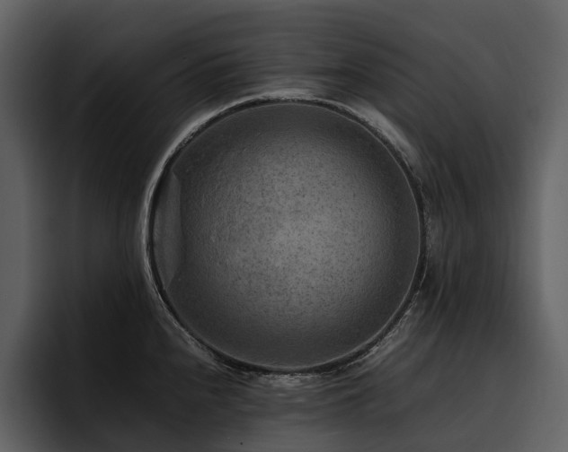 X0000095941240200801111323