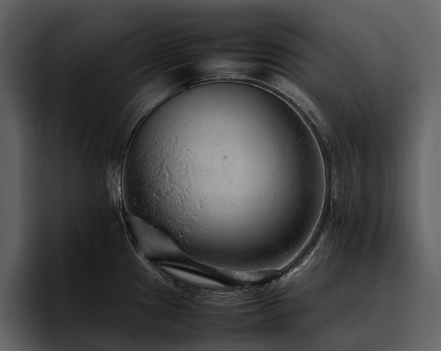 X0000095941241200801111323