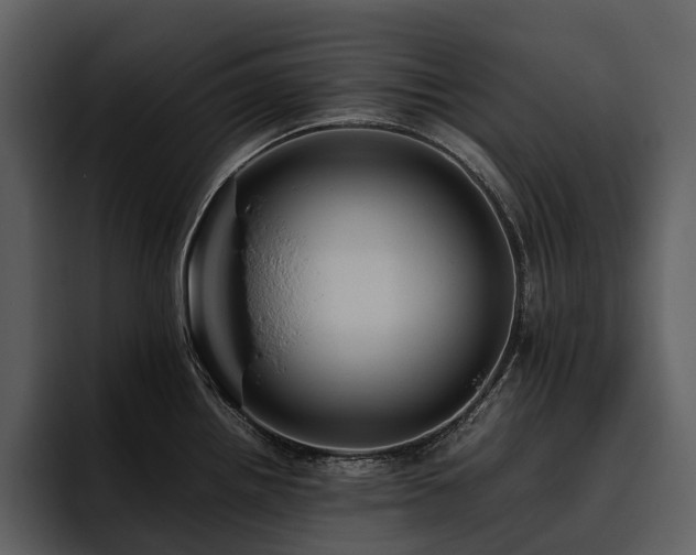 X0000095941242200801111323