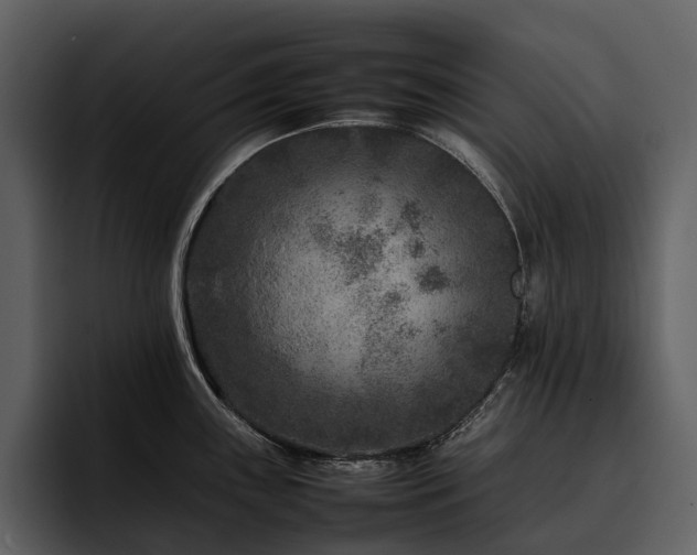 X0000095941243200801111323