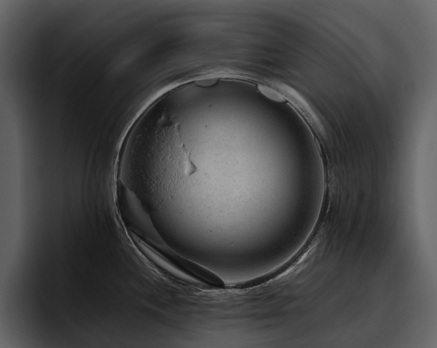 X0000095941244200801111323