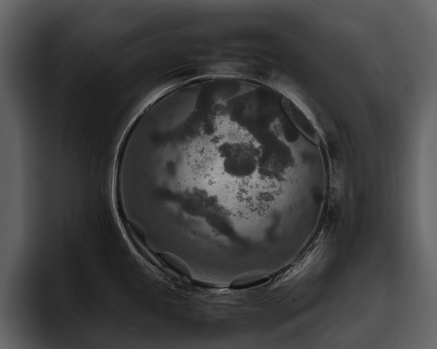 X0000095941245200801111323