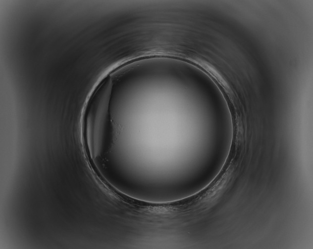 X0000095941246200801111323