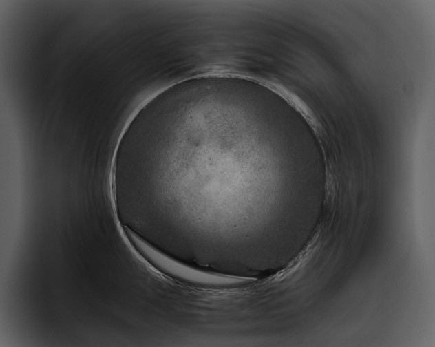 X0000095941247200801111323