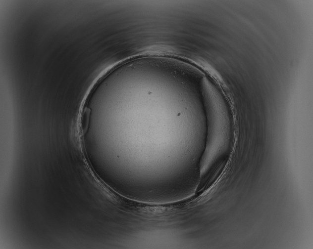 X0000095941248200801111323