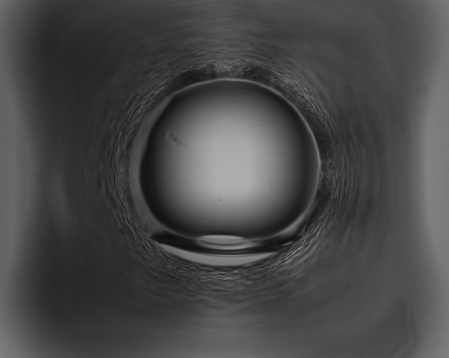 X0000095941249200801111323