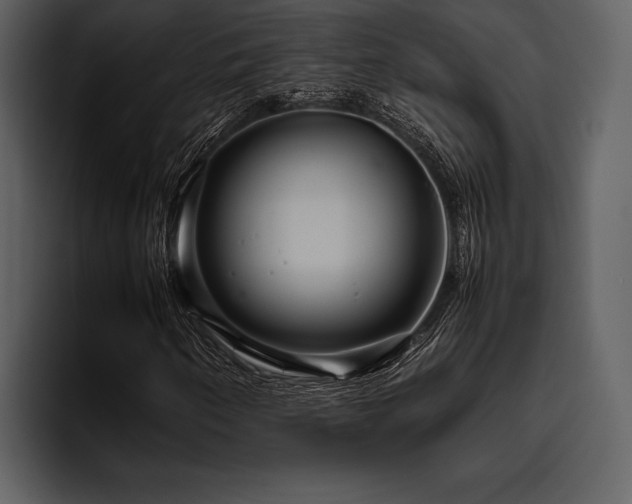 X0000095941250200801111323