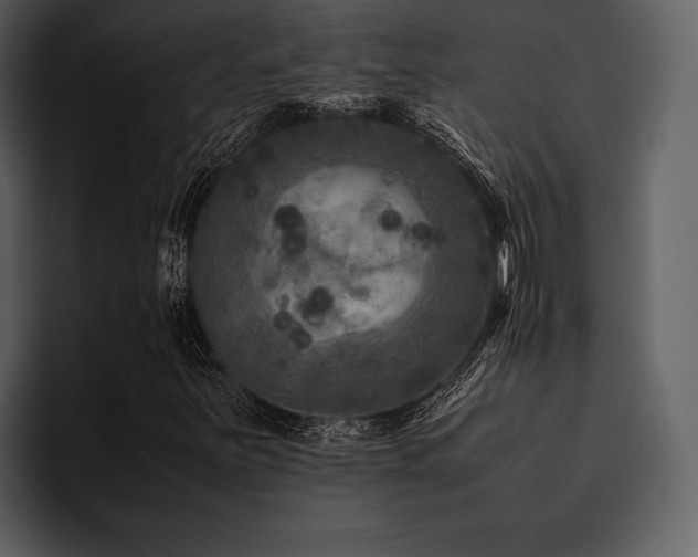 X0000095941251200801111323