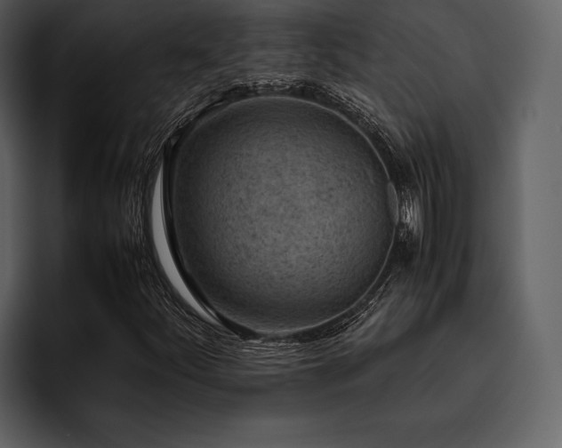 X0000095941252200801111323