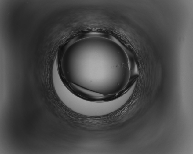 X0000095941253200801111323