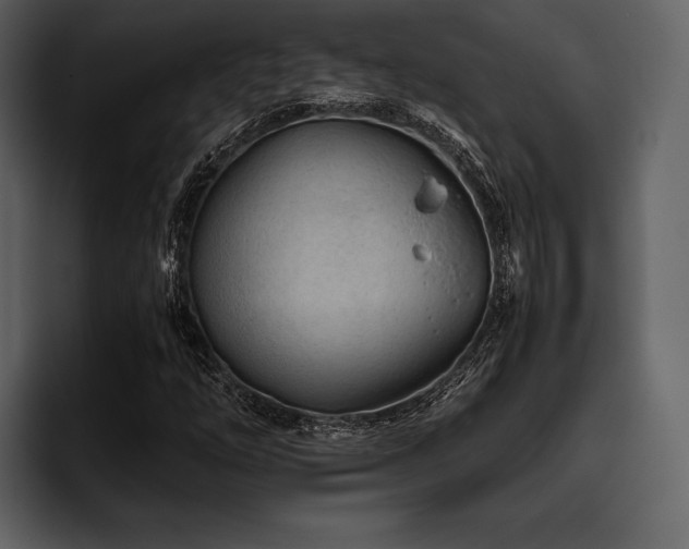 X0000095941254200801111323