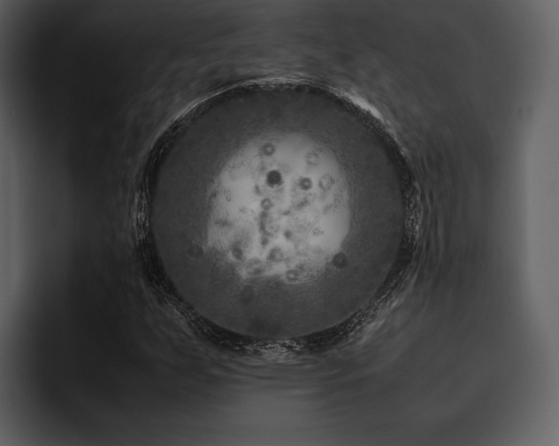 X0000095941255200801111323