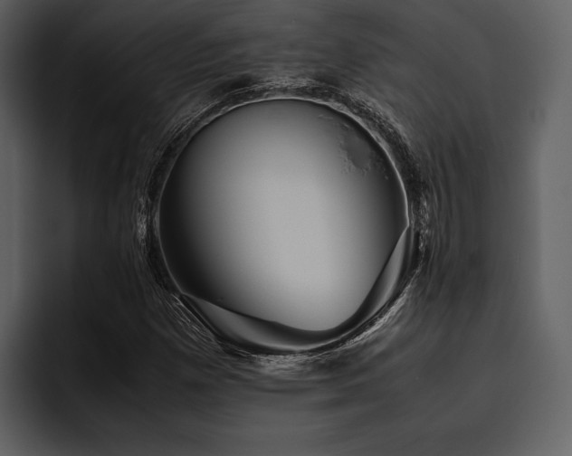 X0000095941257200801111323