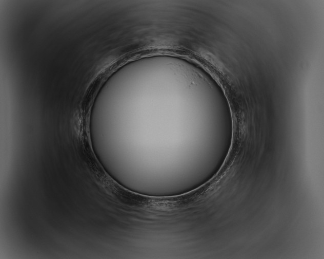X0000095941258200801111323