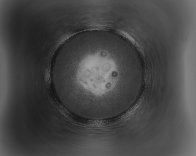 X0000095941259200801111323
