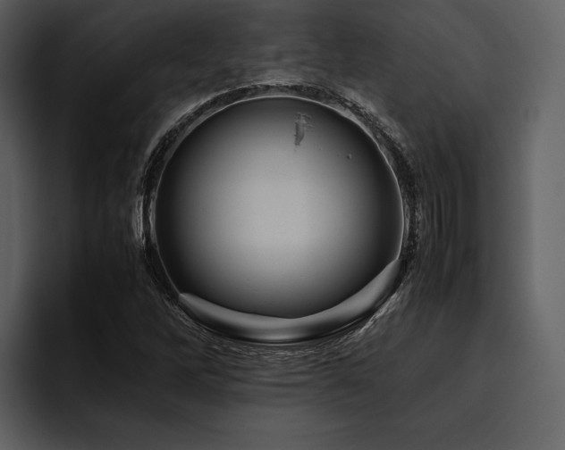 X0000095941262200801111322