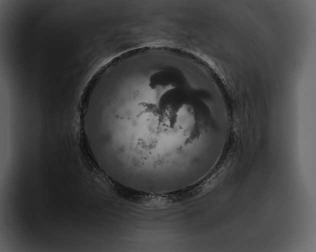 X0000095941263200801111322