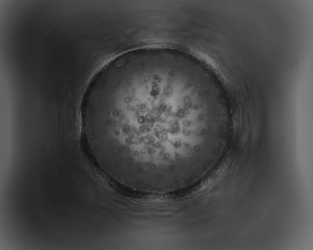 X0000095941267200801111322