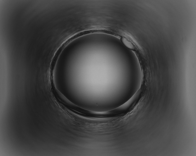 X0000095941268200801111322