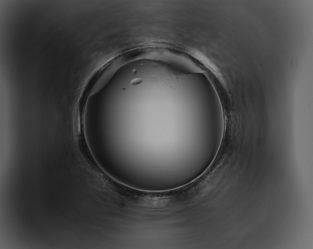 X0000095941269200801111322