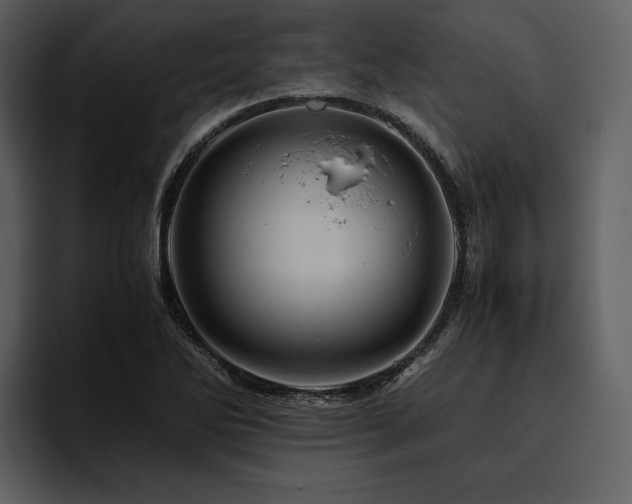 X0000095941270200801111322
