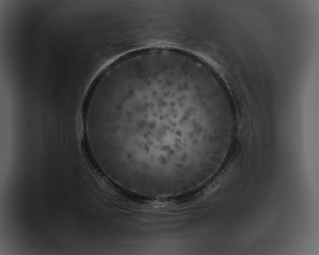 X0000095941271200801111322