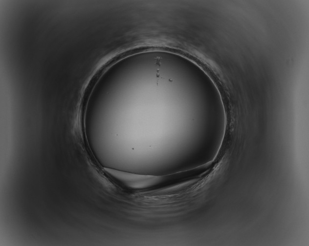 X0000095941272200801111322