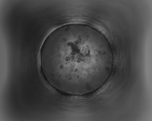 X0000095941275200801111322