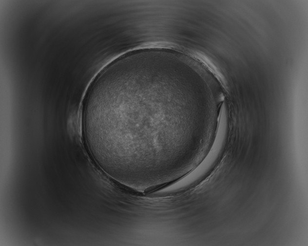 X0000095941276200801111322