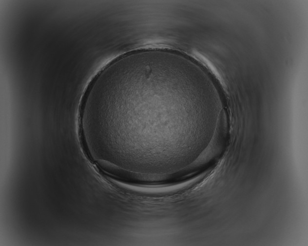 X0000095941277200801111322