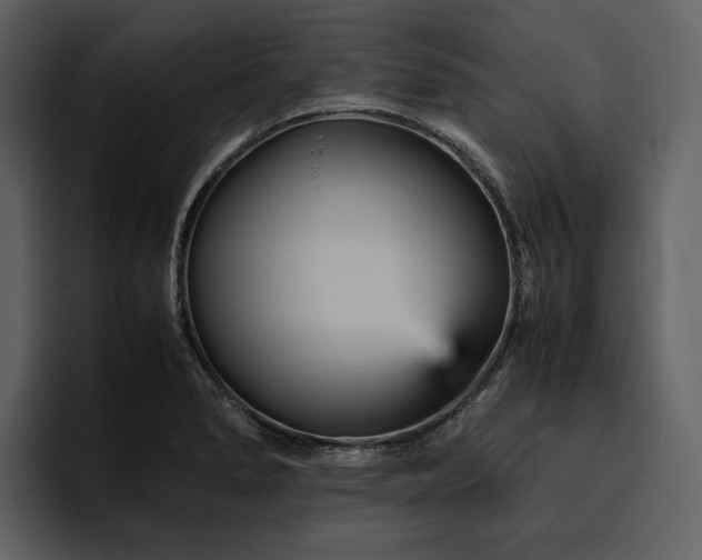 X0000095941278200801111322
