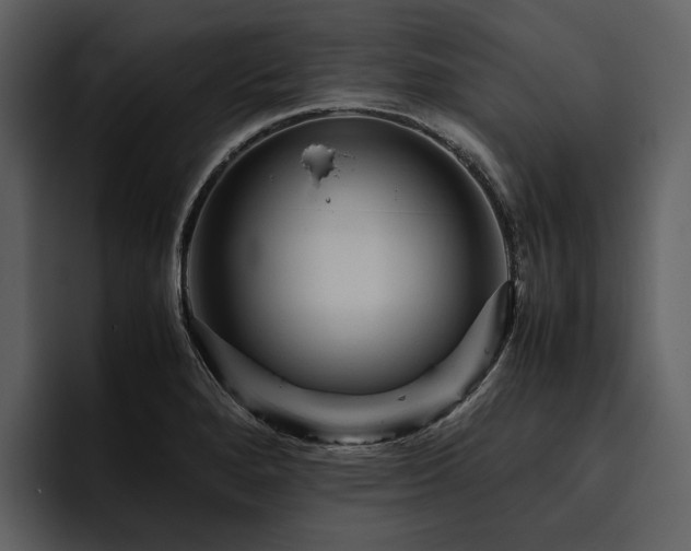 X0000095941280200801111322