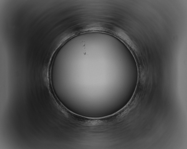 X0000095941282200801111322