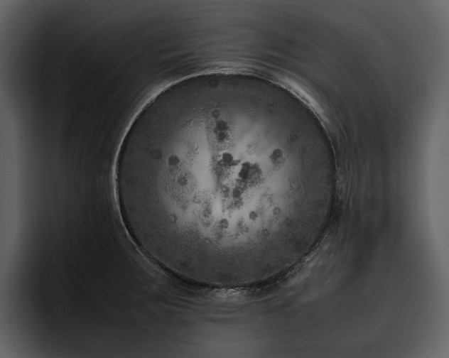 X0000095941283200801111322