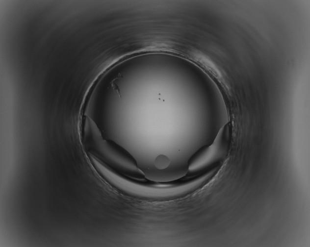X0000095941284200801111322