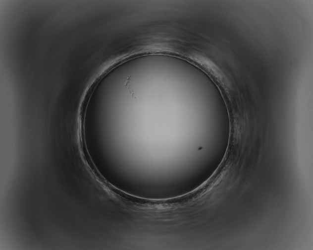 X0000095941286200801111322