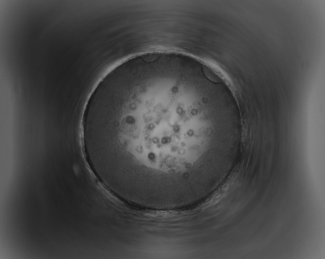X0000095941287200801111322