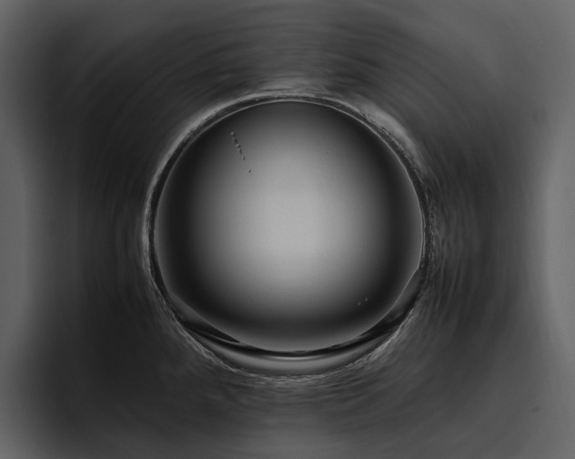X0000095941288200801111322
