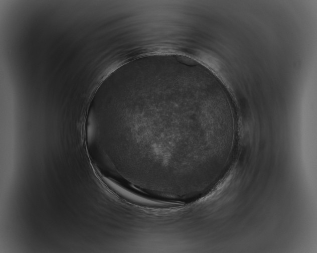 X0000095941289200801111322